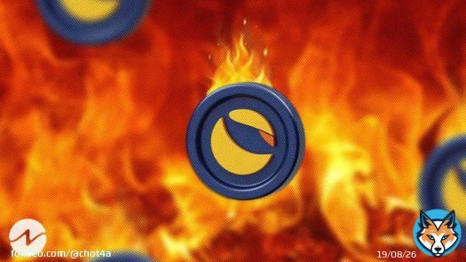 Forget the memes, I want the $LUNC. Keep BUILDING, and keep BURNING!#CryptoCommunity #cryptocurrency #Binance