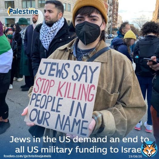 500+ Jews demonstrated outside US Senate Majority Leader Chuck Schumer&rsquo;s home, demanding an end to all US military funding to Israeli apartheid. #ChuckSchumer #IsraeliTerrorism #IsraeliApartheid @UNHumanRights @UNCouncil