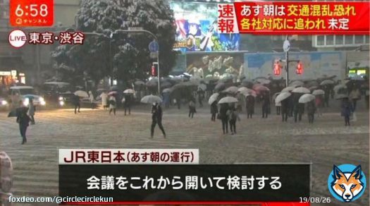 予報通りのめちゃ雪、これから警報級の大雪へ。雪のせいで帰宅難民が出ないように会社休みにするか帰宅命令、帰宅指示が出れば安心。何年か前の東京の雪、大雪警報の時にJR東日本と東京メトロ、京王電鉄が翌日の運行を検討している中、小田急電鉄だけがついポロッと本音を言っちゃったのを思い出した