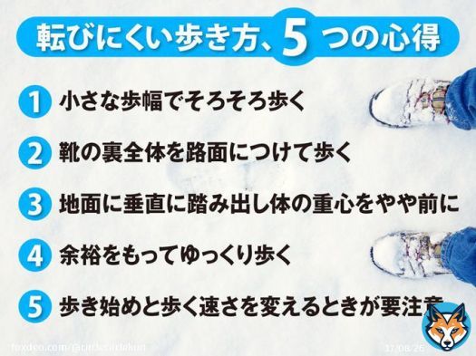 関東の方は大雪警報、大雪注意報、予報通り雪ですね。降り始めでこの程度の雪と思って油断しないでください。交通機関に影響が出て帰宅難民にならないように学校休み、会社休みで在宅勤務だと安心ですが…。雪道では極端だけどペンギン歩きを真似してみて。 帰宅命令や帰宅指示が出ることを願います
