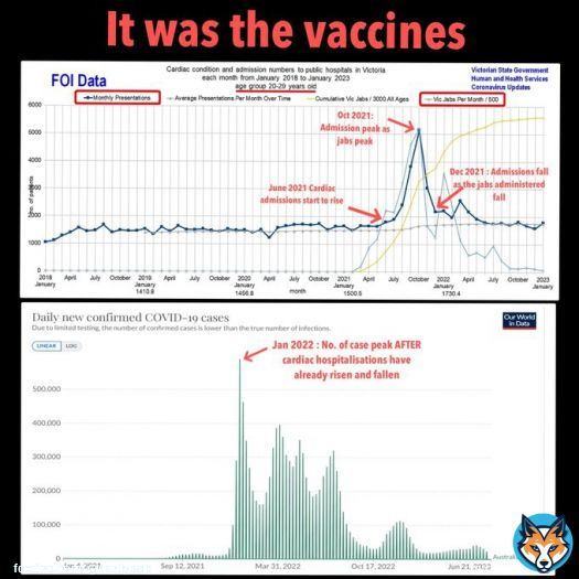 IT WAS THE VACCINE  Vaccine Apologists have sought to claim that the increased in the number of young people being admitted to hospital with cardiac  issues is due mainly to the Covid virus  -  and not the    However, a recent FOI from hospitals in Victoria demonstrates that is&hellip;&nbsp;Show more