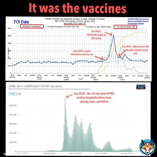 IT WAS THE VACCINE  Vaccine Apologists have sought to claim that the increased in the number of young people being admitted to hospital with cardiac  issues is due mainly to the Covid virus  -  and not the    However, a recent FOI from hospitals in Victoria demonstrates that is&hellip;&nbsp;Show more
