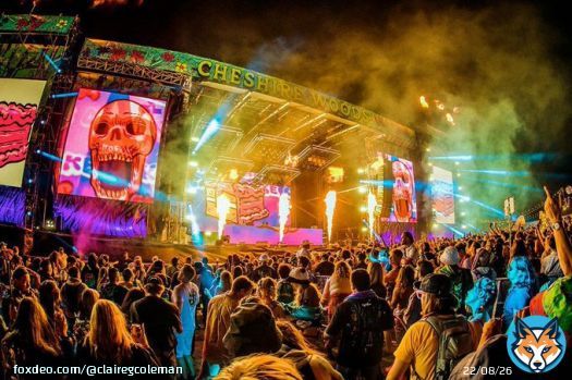 The fukk is wrong with you people? Two Dead And Three Injured In Shooting At US Festival Beyond Wonderland |  | Australian music news, gig guide, music reviews