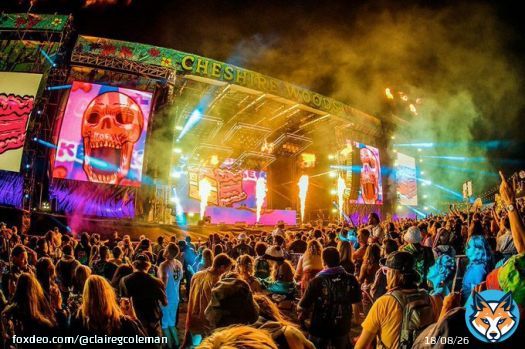 The fukk is wrong with you people? Two Dead And Three Injured In Shooting At US Festival Beyond Wonderland |  | Australian music news, gig guide, music reviews