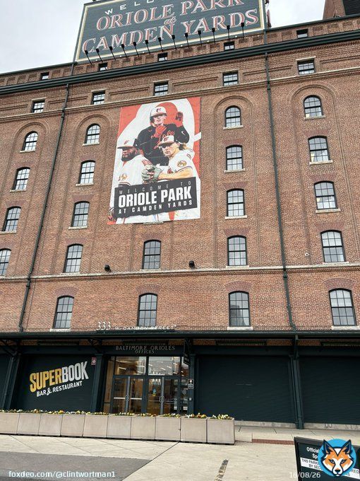 Gm Birdland! #Birdland #orioles