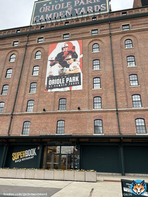 Gm Birdland! #Birdland #orioles