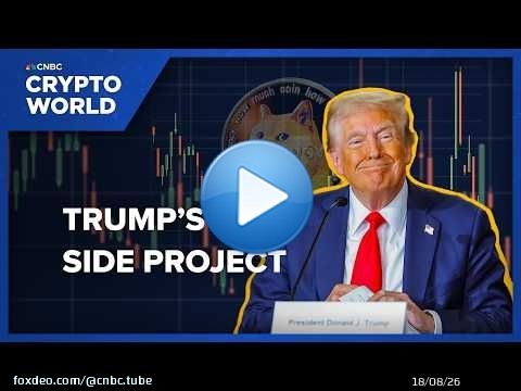 Why President Trump&rsquo;s Meme Coin Is Raising Alarm Bells