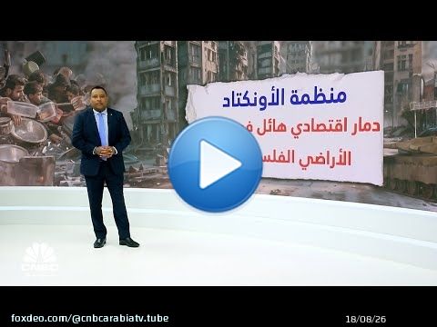 منظمة الأمم المتحدة للتجارة والتنمية: انكماش اقتصاد غزة إلى أقل من سدس مستواه بحلول منتصف عام 2024