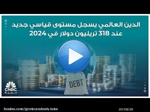 الدين العالمي يسجل مستوى قياسي جديد عند 318 تريليون دولار في 2024
