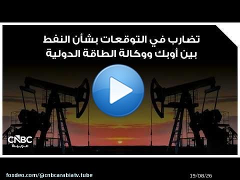 تضارب في التوقعات بشأن النفط بين أوبك ووكالة الطاقة الدولية