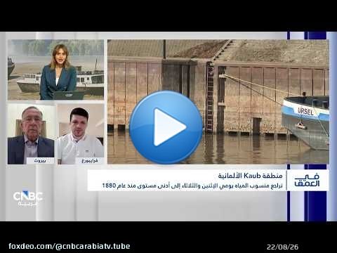 كيف يهدد انخفاض منسوب الراين والدانوب اقتصاد أوروبا؟
