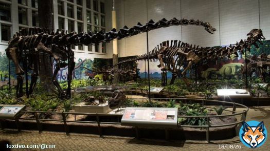 For decades, scientists have debated whether these dinosaurs could whip their tails faster than the speed of sound, creating a sonic boom.  A recent study suggests they couldn't, but that the tails could move fast &mdash; and be used to defend againsst predators.
