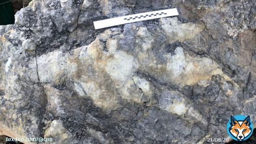 A giant carnivorous dinosaur left behind a record-breaking footprint along the Yorkshire coast 166 million years ago.