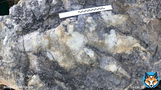A giant carnivorous dinosaur left behind a record-breaking footprint along the Yorkshire coast 166 million years ago.