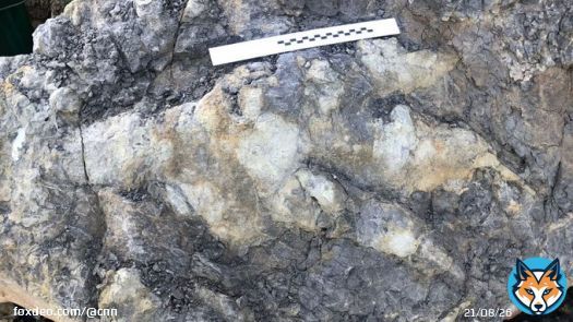 A giant carnivorous dinosaur left behind a record-breaking footprint along the Yorkshire coast 166 million years ago.