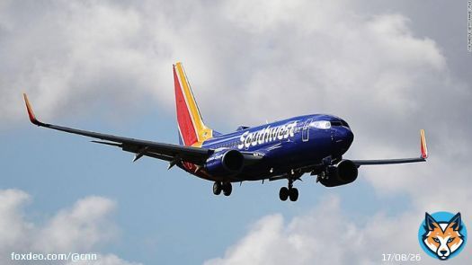 A Southwest Airlines flight bound for Fort Lauderdale was forced to return to Havana, Cuba, on Sunday morning after reportedly experiencing bird strikes, the carrier says.