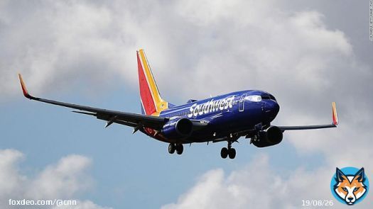 A Southwest Airlines flight bound for Fort Lauderdale was forced to return to Havana, Cuba, on Sunday morning after reportedly experiencing bird strikes, the carrier says.