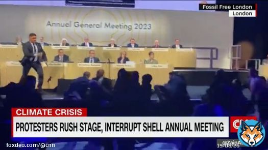 Chaotic scenes unfolded at Shell&rsquo;s annual shareholder meeting as climate activists stormed the venue, calling for the oil company to be &ldquo;shut down&rdquo; and accusing it of &ldquo;killing&rdquo; the planet