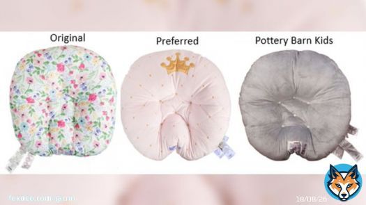 The US Consumer Product Safety Commission on Tuesday urged parents and caregivers to stop using Boppy Newborn Loungers &ndash; a pillow for infants &ndash; after two more infants died after the agency issued a mass recall of the product in 2021
