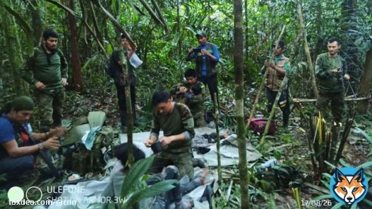 Four young children have been found alive after more than a month wandering the Amazon where they survived like &ldquo;children of the jungle,&rdquo; according to Colombia&rsquo;s President Gustavo Petro
