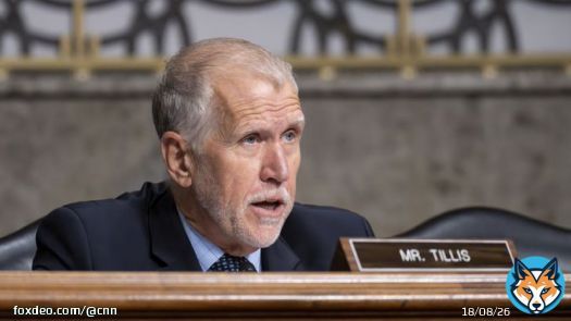 A state party delegate told CNN that Tillis&rsquo; support for the same-sex marriage law and efforts on the immigration proposal were among the reasons cited by delegates for the censure.