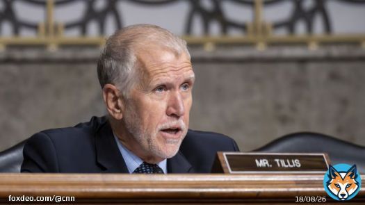A state party delegate told CNN that Tillis&rsquo; support for the same-sex marriage law and efforts on the immigration proposal were among the reasons cited by delegates for the censure.