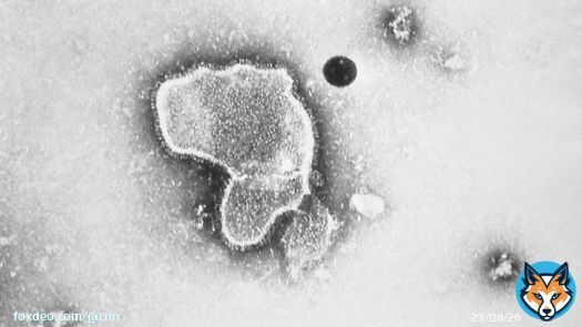 Adults 60 and older will be eligible to get a shot that could protect them from respiratory syncytial virus, or RSV, this fall if the US CDC follows the advice of its independent vaccine advisory committee.