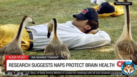 Taking a short nap during the day may help to protect brain health as we age, according to a new study