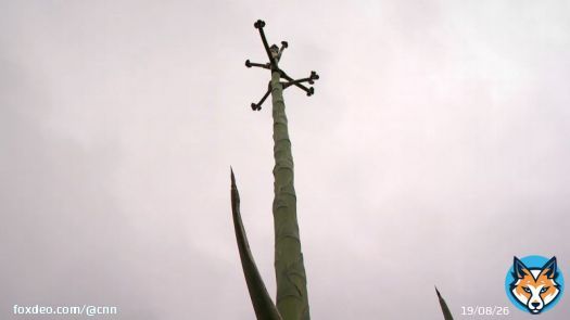 Woman stunned by size of cactus she says she waited decades to bloom