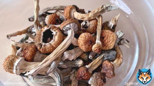 Australia is set to become the first country in the world to legalize clinical prescribing of MDMA, better known as ecstasy, and psilocybin &mdash; the main psychoactive ingredient in magic mushrooms &mdash; for certain mental health disorders.
