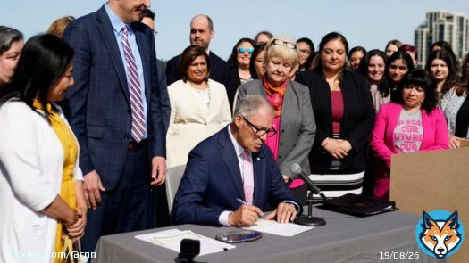 As Republican lawmakers have pushed restrictions on abortion and gender-affirming care in recent months, Democratic-led states have increasingly responded by passing so-called shield laws to protect people who undergo such care