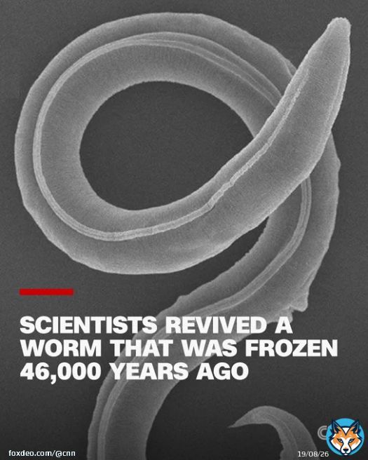 Scientists have revived a worm that was frozen 46,000 years ago &mdash; at a time when woolly mammoths, sabre-toothed tigers and giant elks still roamed the Earth