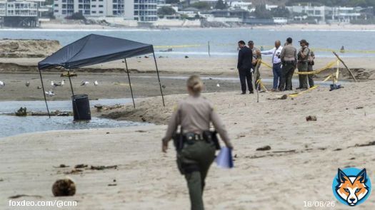 A man&rsquo;s body was found inside a plastic barrel at a beach in Malibu, California, after a lifeguard spotted the unusual item floating offshore