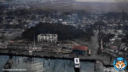 The disastrous wildfires in Maui have ransacked virtually every aspect of life, killing at least three dozen people while scorching or imperiling buildings important to Hawaiian history, as well as a majestic tree known as a symbol of the island&rsquo;s culture