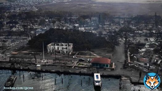 The disastrous wildfires in Maui have ransacked virtually every aspect of life, killing at least three dozen people while scorching or imperiling buildings important to Hawaiian history, as well as a majestic tree known as a symbol of the island&rsquo;s culture