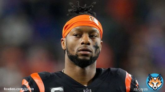 Cincinnati Bengals running back Joe Mixon was found not guilty on an aggravated menacing charge, according to a spokesperson with the Hamilton County Clerk of Courts and court records