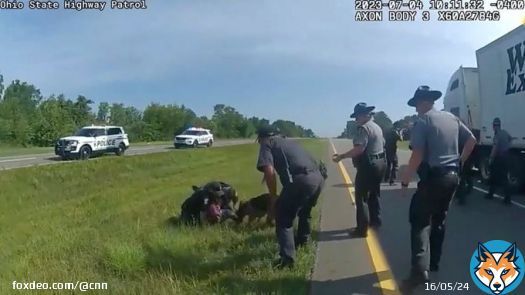 A prosecutor is asking a judge to dismiss the felony charge against an unarmed Black semi-truck driver who was attacked by a police dog after a chase in Ohio on July 4.