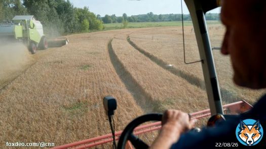 Poland, Hungary and Slovakia will defy the European Union and extend a temporary ban placed on Ukrainian grain imports