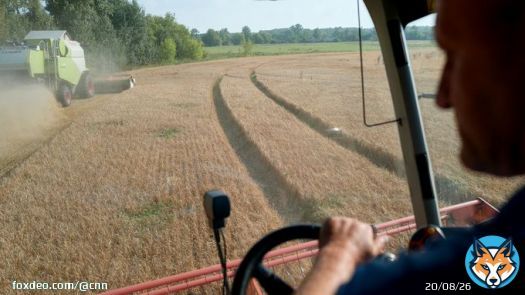 Poland, Hungary and Slovakia will defy the European Union and extend a temporary ban placed on Ukrainian grain imports