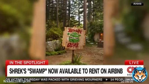 Shrek&rsquo;s &lsquo;swamp&rsquo; now available to rent on Airbnb
