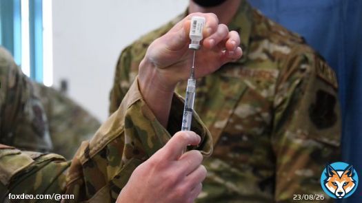 Only 43 of more than 8,000 discharged from US military for refusing Covid vaccine have rejoined