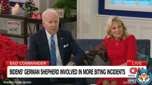 President Joe Biden and first lady Dr. Jill Biden’s 2-year-old German shepherd, Commander, has been involved in more biting incidents than previously reported at the White House, multiple sources familiar with the matter told CNN