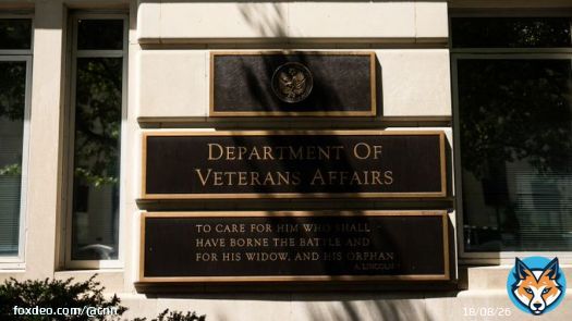 VA employees improperly accessed medical files of vice presidential nominees Sen. JD Vance and Gov. Tim WalzVA employees improperly accessed medical files of Vance and Walz | CNN PoliticsFrom cnn.com