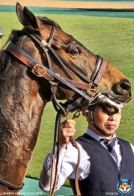 東京11R #ウインキートス #ダイヤモンドS キーちゃん最後のレース 頑張って〜ᶠⁱᴳʰᵀᵎᵎ(,,&bull;&omega;&bull;,,)و\u2691⁎&lowast; ※チャカチャカしいました