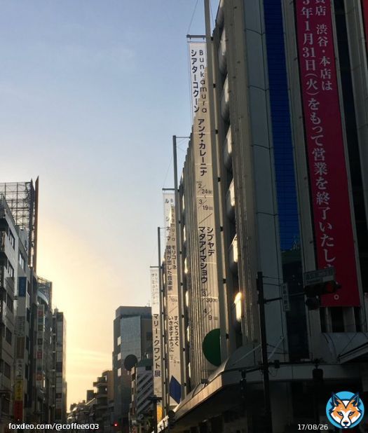 マリークワント展 混んでいたのですぐ退散。渋谷はいつも活気がある。