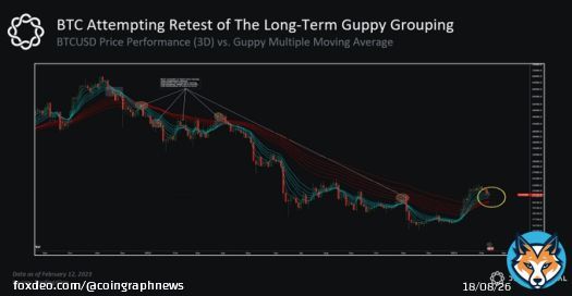 ANALYSIS: According to Delphi Digital, #Bitcoin's BTC Guppy tool has turned bullish for the first time in over a year, which could be a sign of a significant price increase.