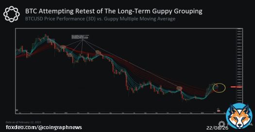 ANALYSIS: According to Delphi Digital, #Bitcoin's BTC Guppy tool has turned bullish for the first time in over a year, which could be a sign of a significant price increase.