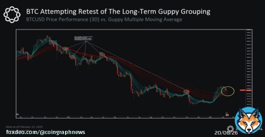 ANALYSIS: According to Delphi Digital, #Bitcoin's BTC Guppy tool has turned bullish for the first time in over a year, which could be a sign of a significant price increase.