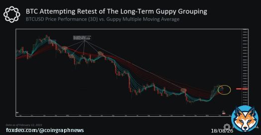 ANALYSIS: According to Delphi Digital, #Bitcoin's BTC Guppy tool has turned bullish for the first time in over a year, which could be a sign of a significant price increase.