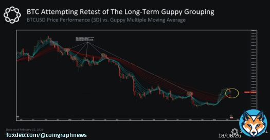 ANALYSIS: According to Delphi Digital, #Bitcoin's BTC Guppy tool has turned bullish for the first time in over a year, which could be a sign of a significant price increase.